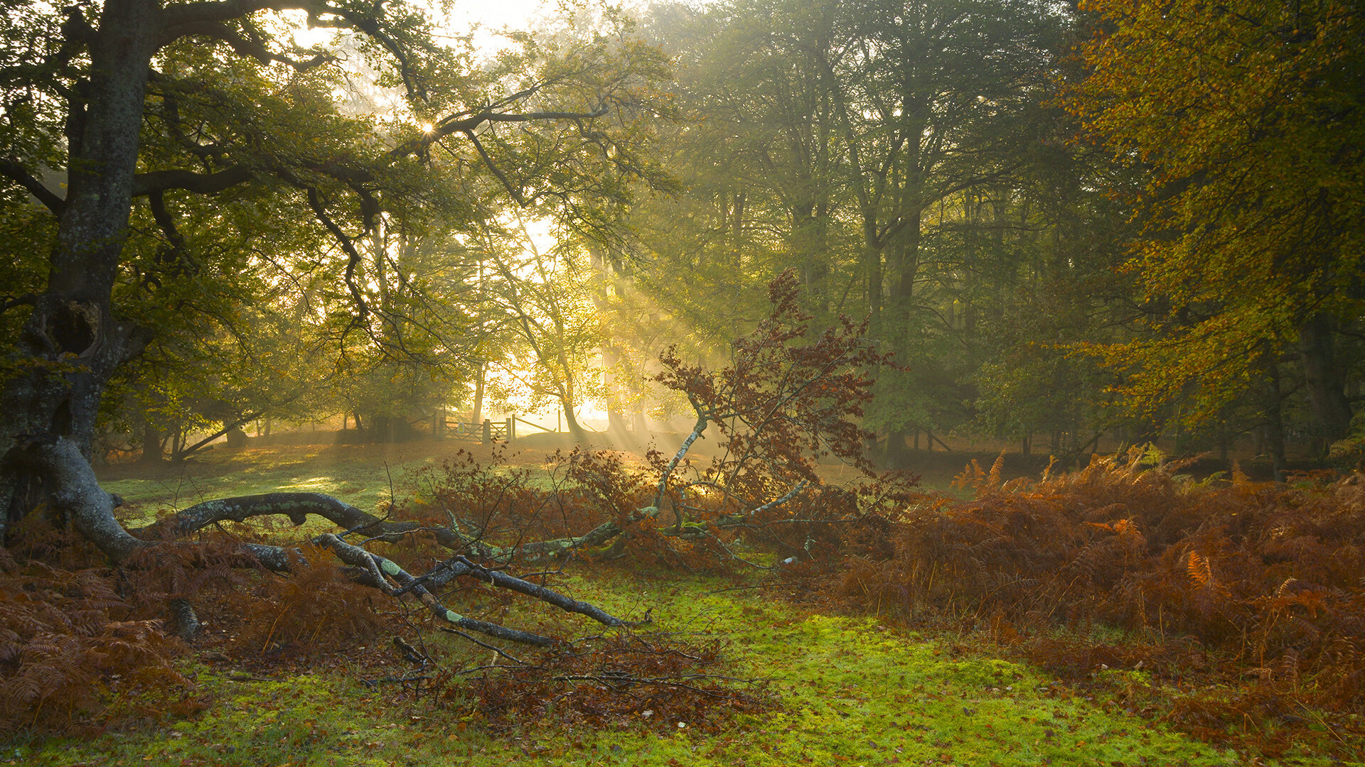 单节风暴与关键先生，深圳队力克吉林，恩比德定乾坤