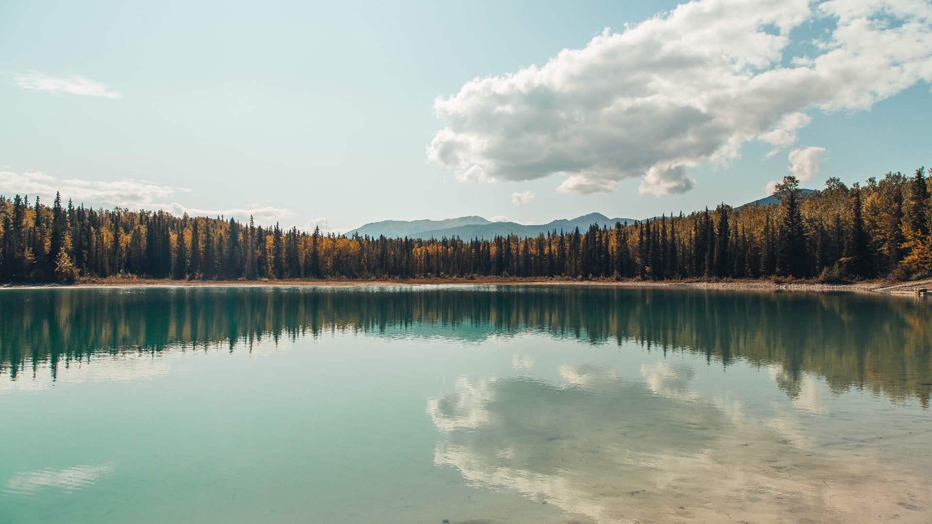 恩比德降维打击助掘金逆转!最后2秒致胜封盖终结山西队