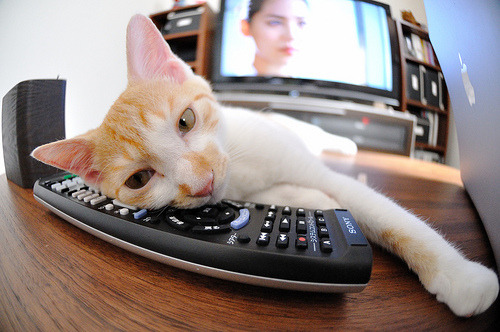 开云体育平台APP-唯一变量，当尼斯被困于亚特兰大阴影，格纳布里撕开命运缺口